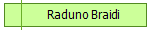 Raduno Braidi