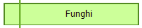 Funghi